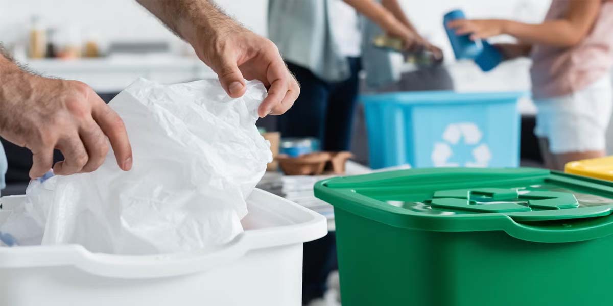 Sustainable Recycling Practices for Your Business